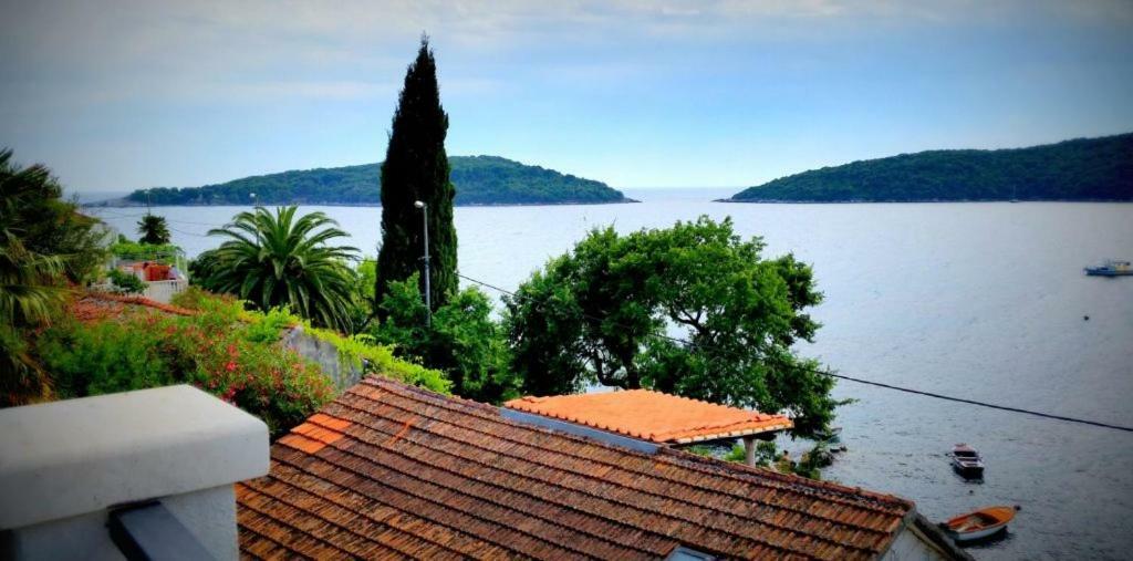 Villa Riva Molunat Buitenkant foto